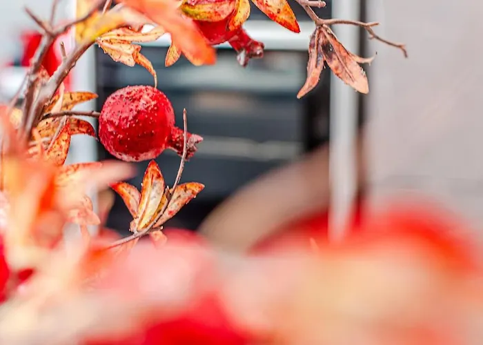 Nuovo Con Posto Auto Privato A 5 Min A Piedi Dal Centro *