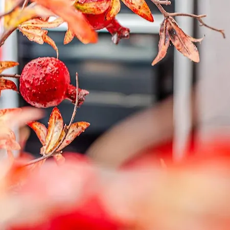 Nuovo Con Posto Auto Privato A 5 Min A Piedi Dal Centro *